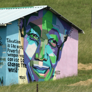 Education is the most powerful weapon to change the world
